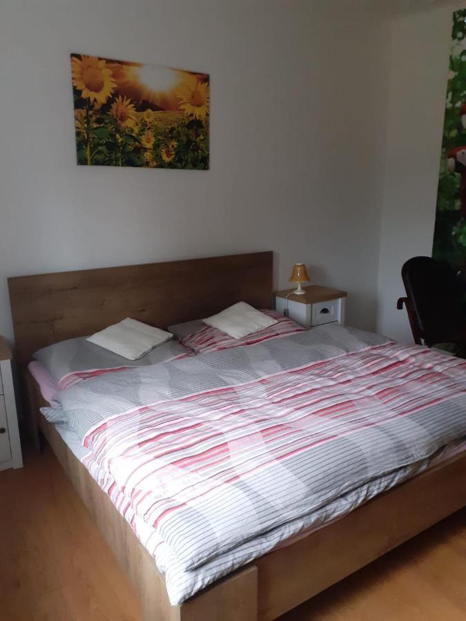 Apartman Ema Sloup  Eksteriør billede